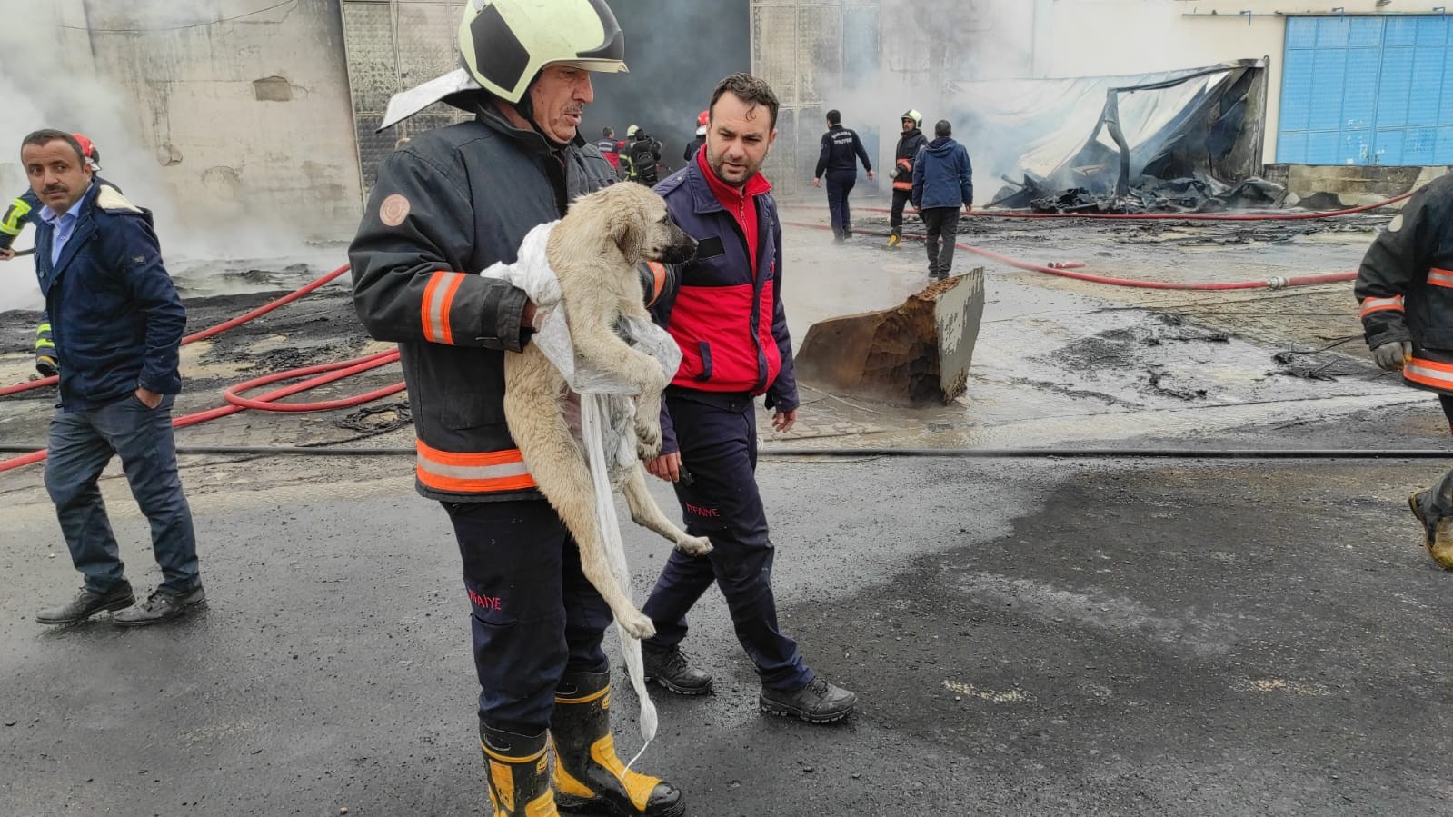 Şanlıurfa'daki sünger fabrikasında büyük yangın