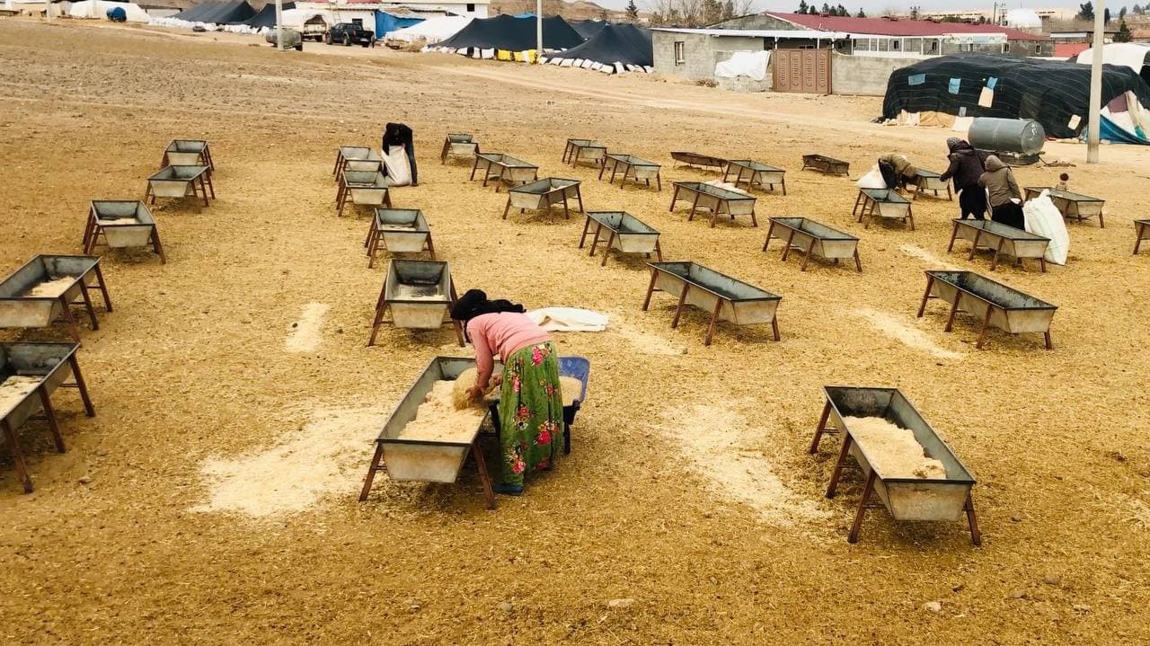 Şanlıurfa'da göçerlerin göç hazırlığı başladı  