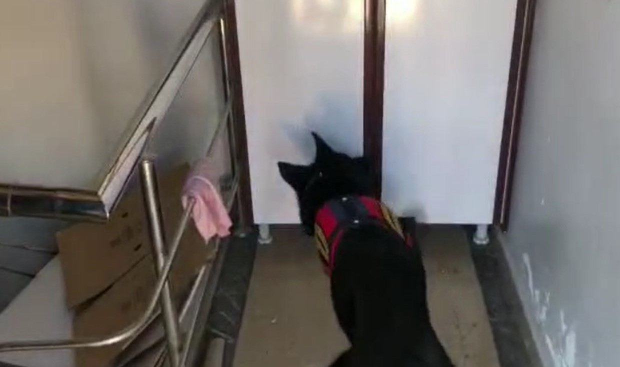 18 kilo 500 gram esrar ele geçirildi! 1 tutuklama