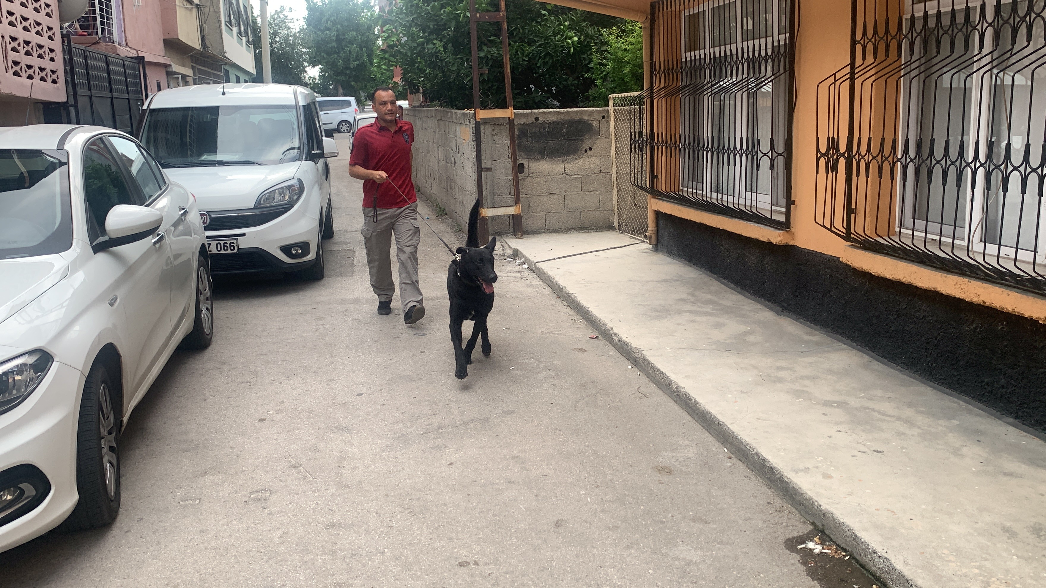 Uyuşturucu operasyonu 16 zanlı gözaltına alındı