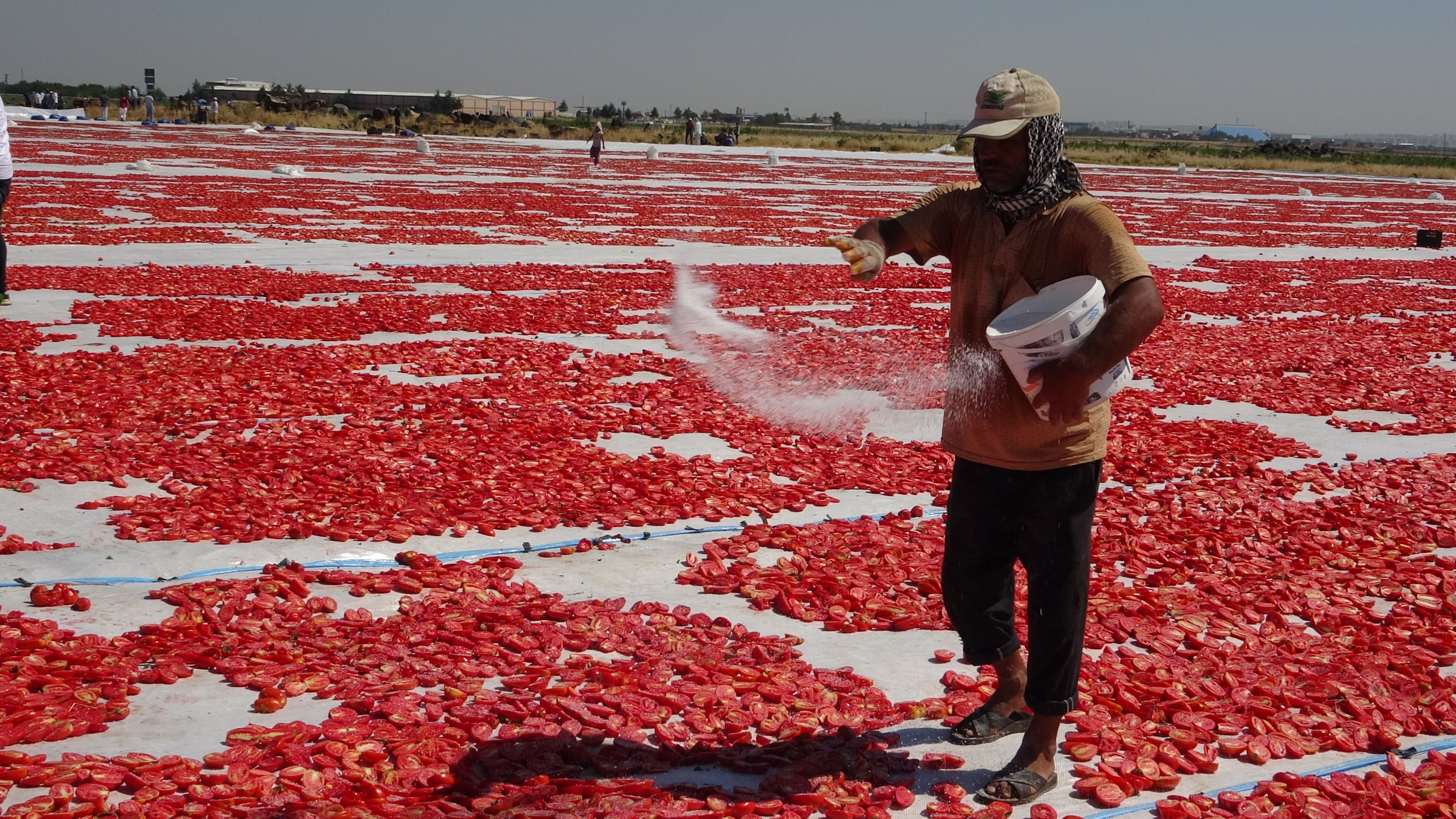 Diyarbakır'da üretimler arttırılıyor