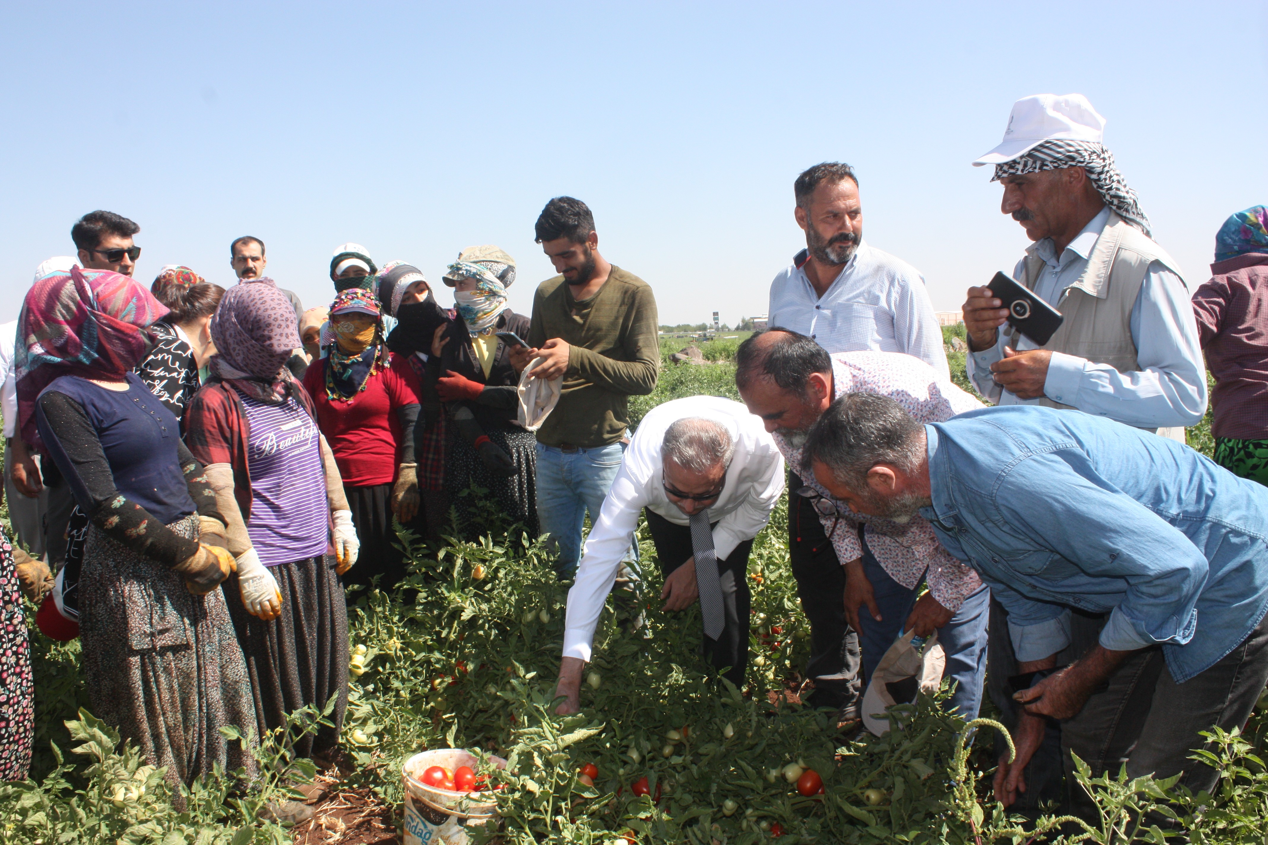 Diyarbakır'da üretimler arttırılıyor