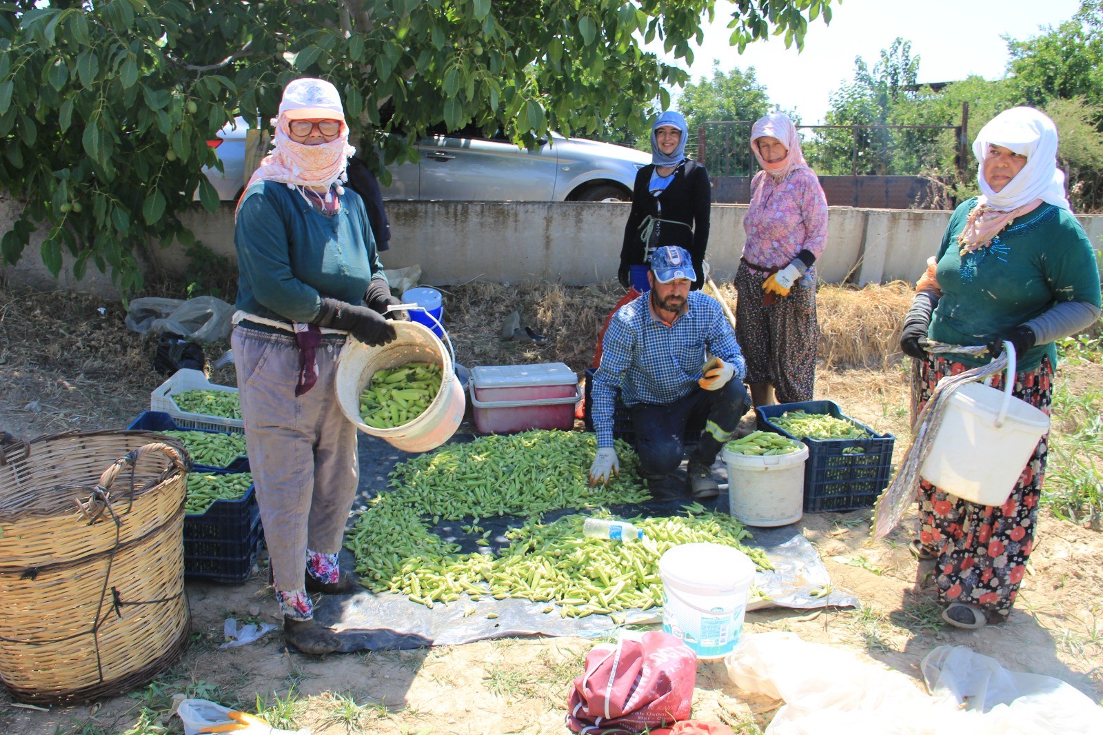 Tarlada çalışan kadınların sitem dolu sözleri