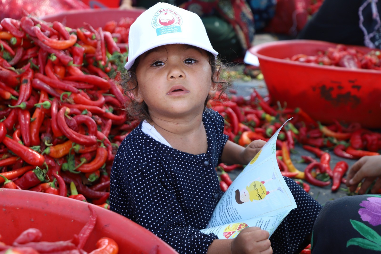 İsot işçilerine güneş çarpması konusunda uyarı