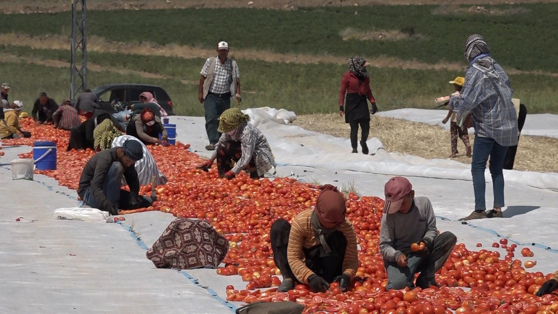 Mevsimlik işçi öğrencilerin büyük başarısı