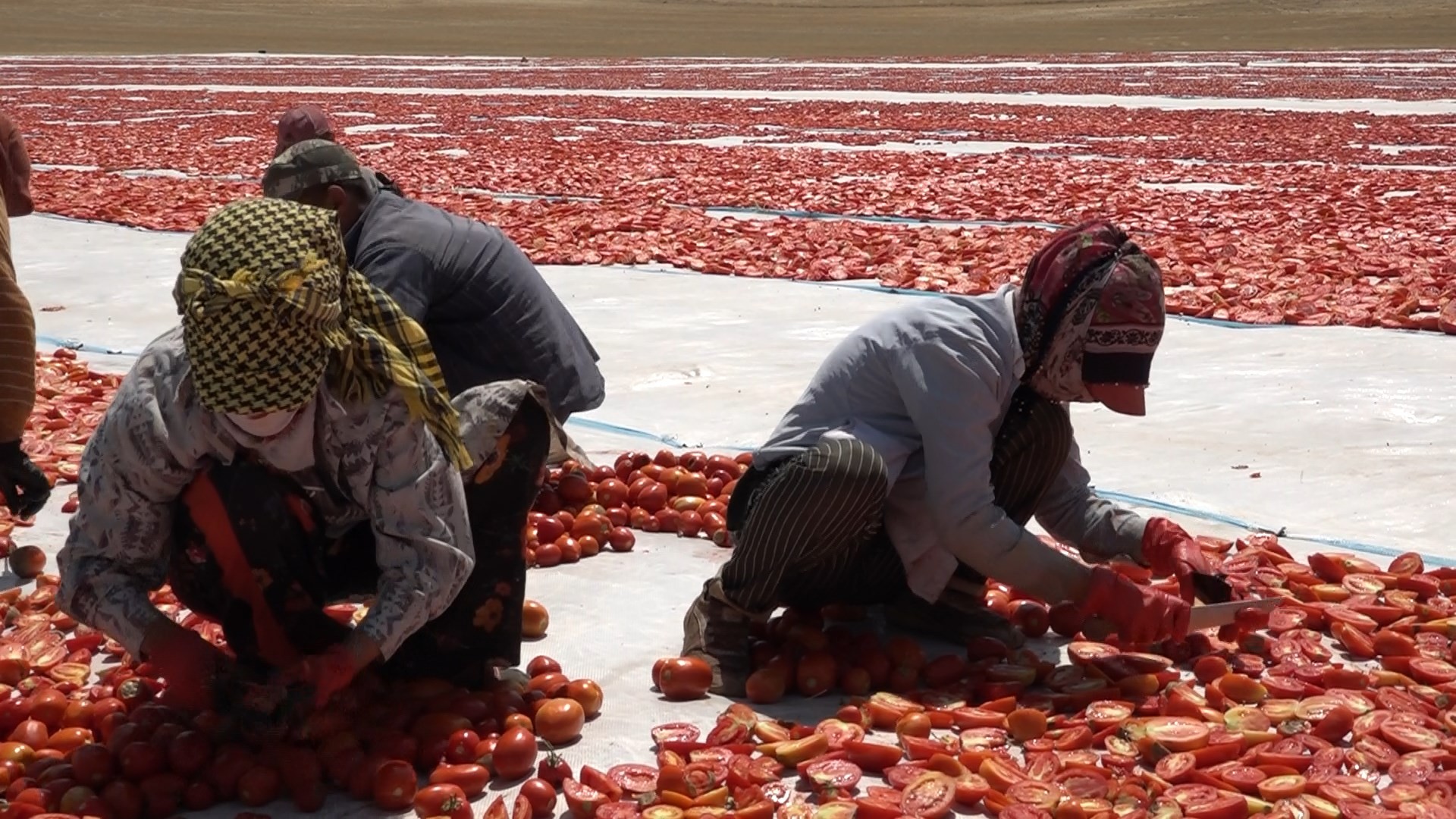 Mevsimlik işçi öğrencilerin büyük başarısı