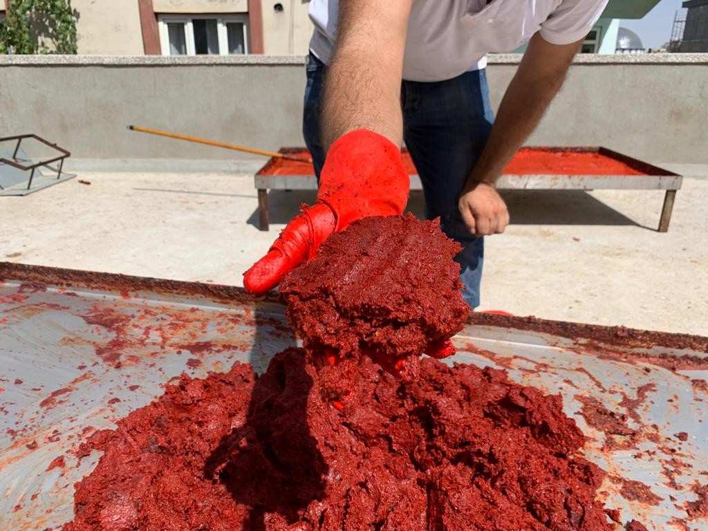 İşletmelerin salça mesaisi başladı
