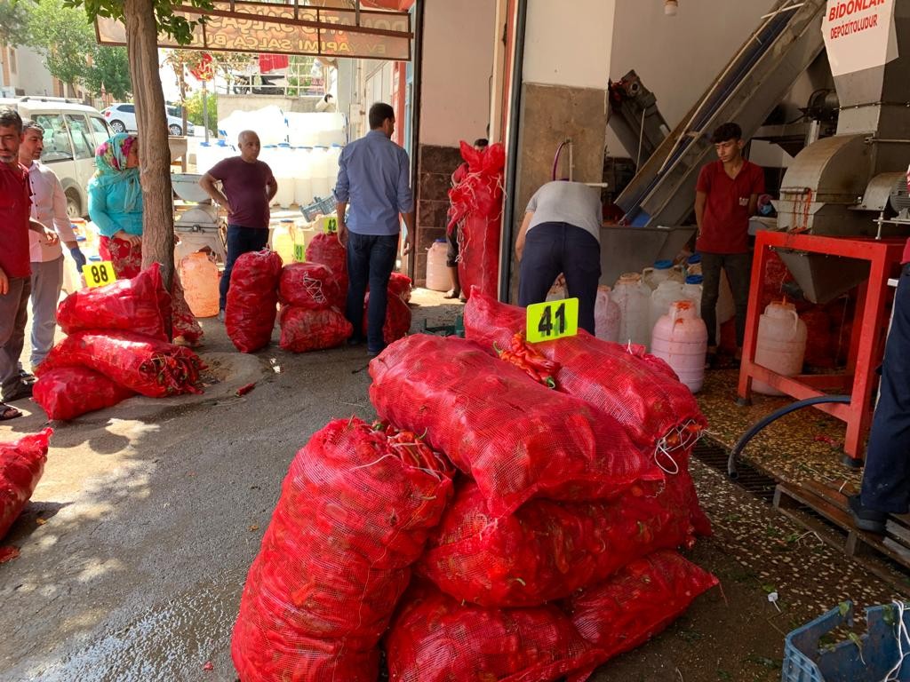 İşletmelerin salça mesaisi başladı