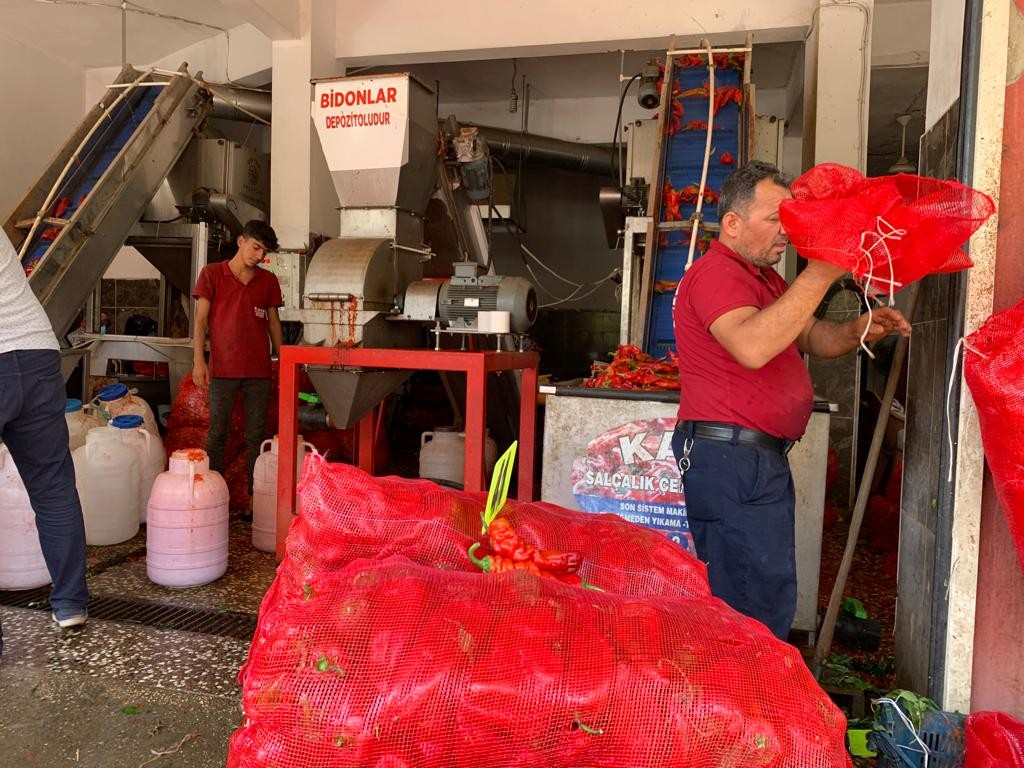 İşletmelerin salça mesaisi başladı