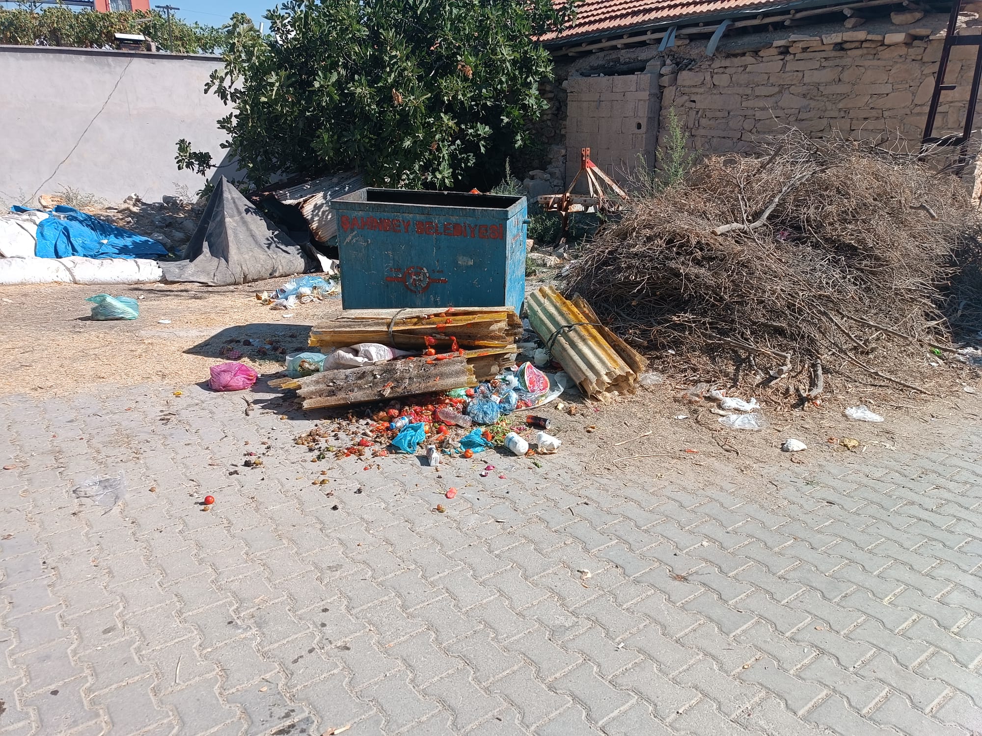 Bir haftalık bebek çöpte ölü bulundu