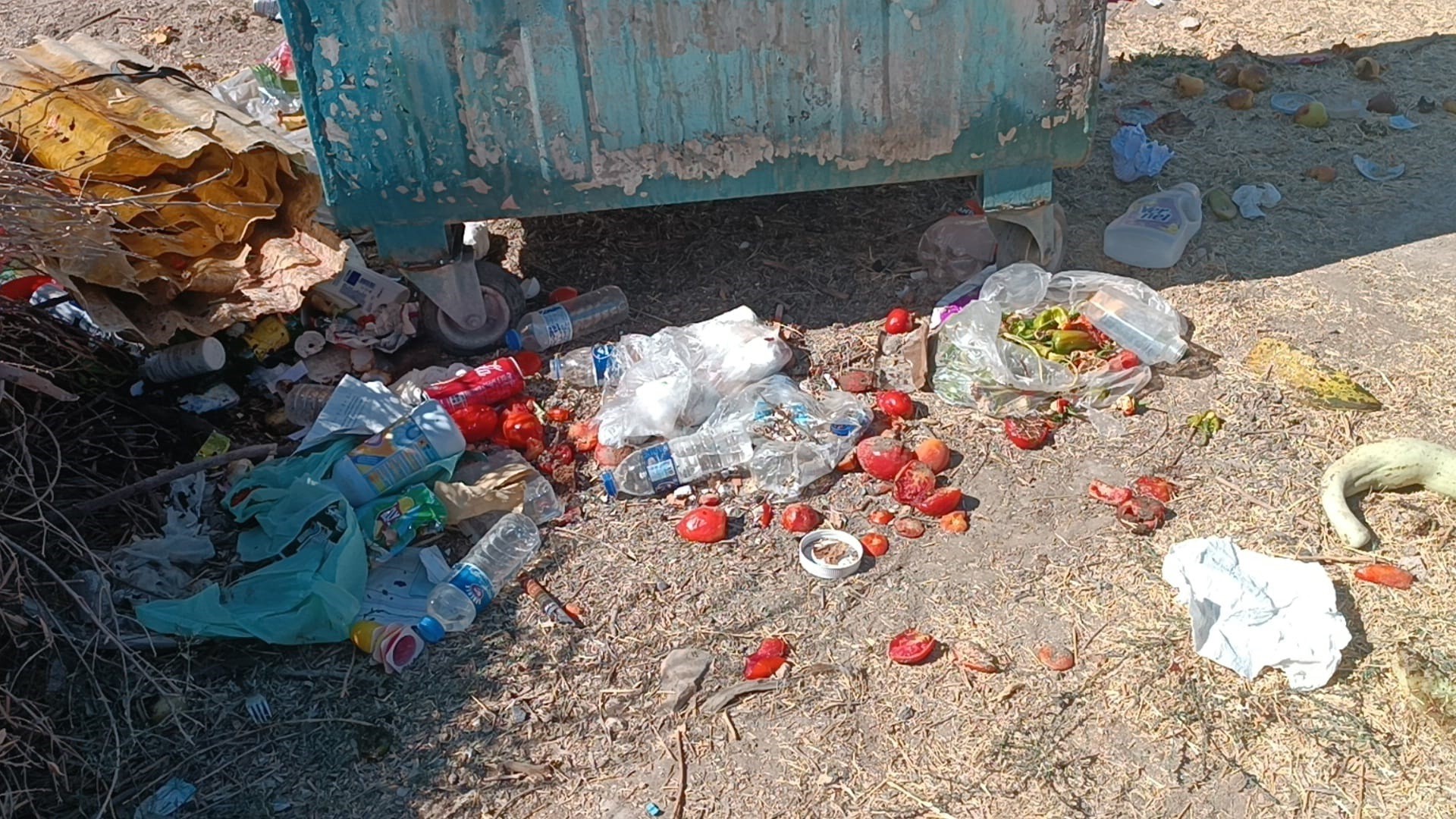 Bebeklerini çöpe bırakan anne ve baba tutuklandı