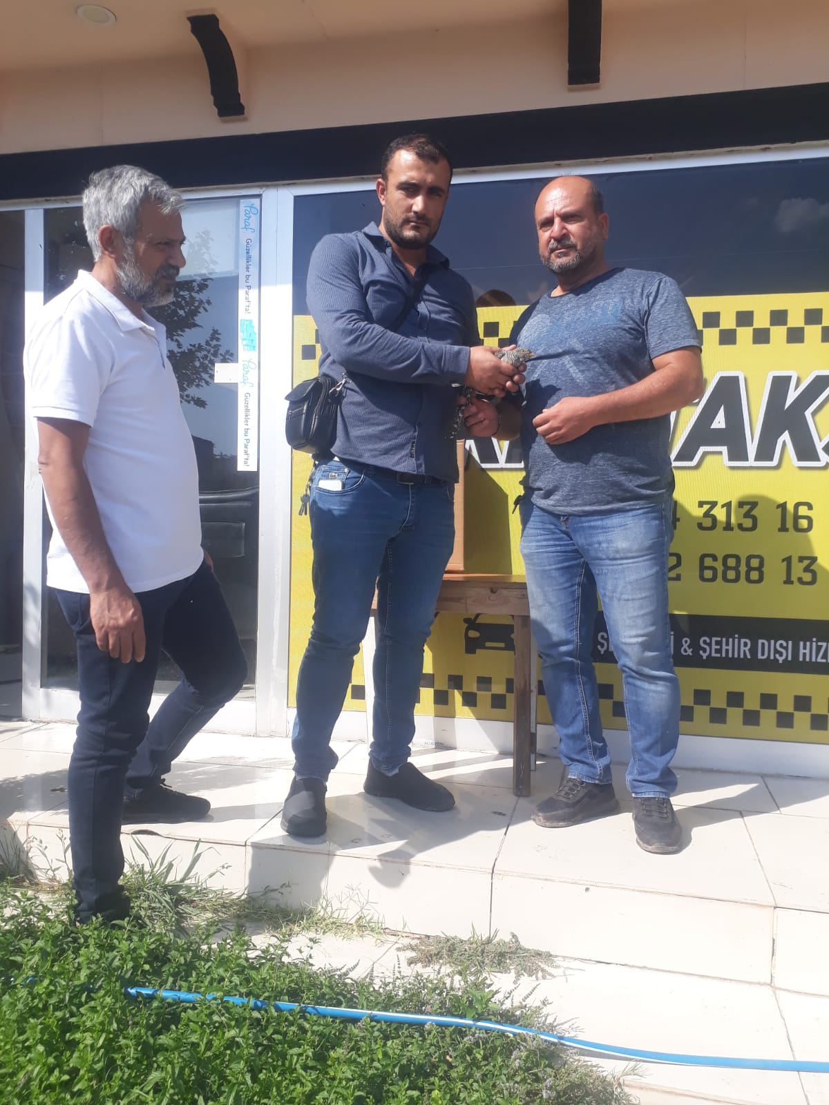 Bitkin halde bulunan Guguk kuşu ekiplere teslim edildi