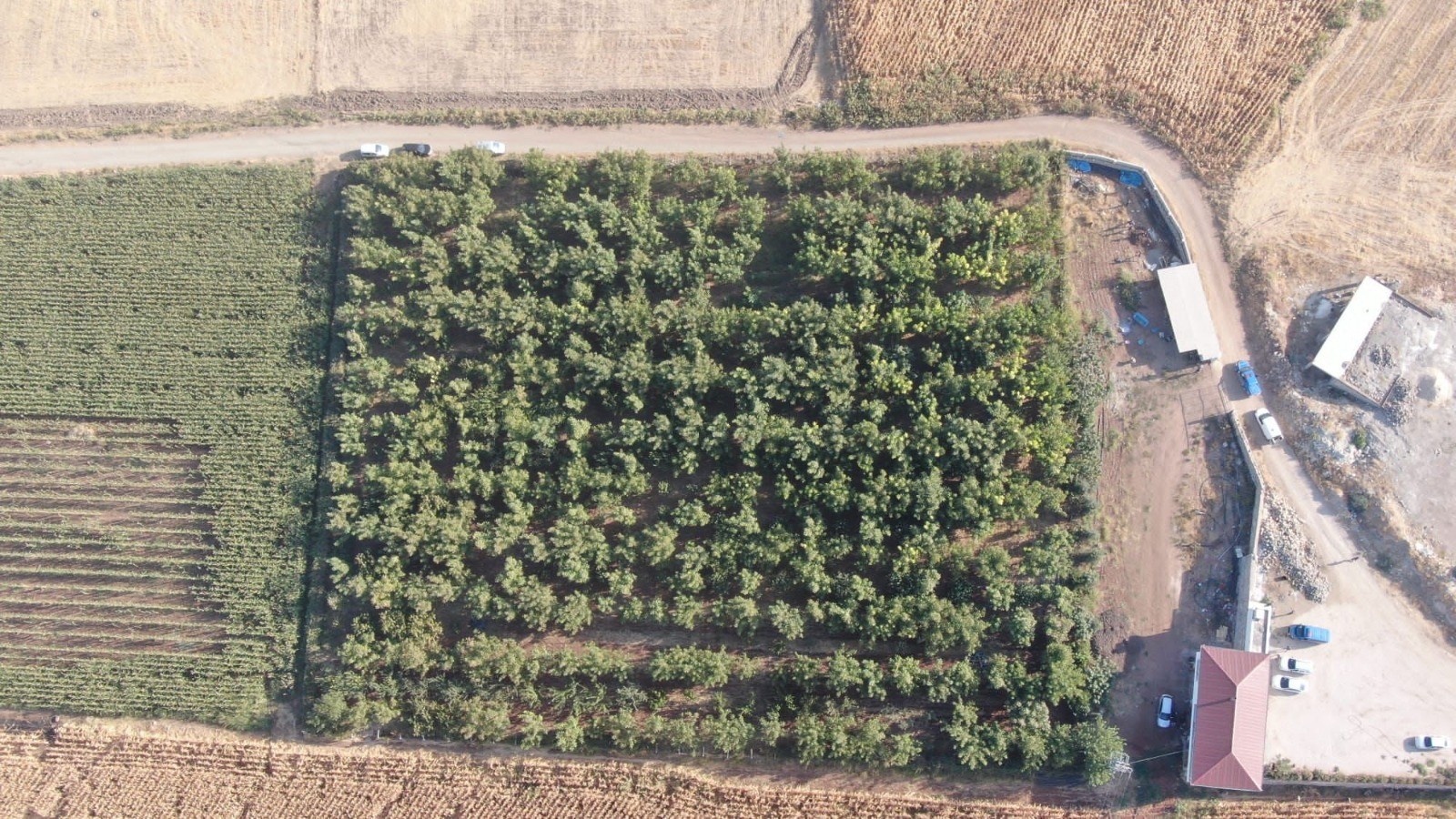 235 kilo kubar esrar ele geçirildi