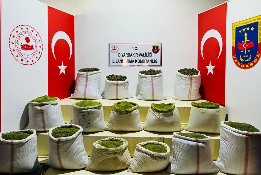 Eren-Abluka operasyonunda 52 bin kök kenevir ele geçirildi