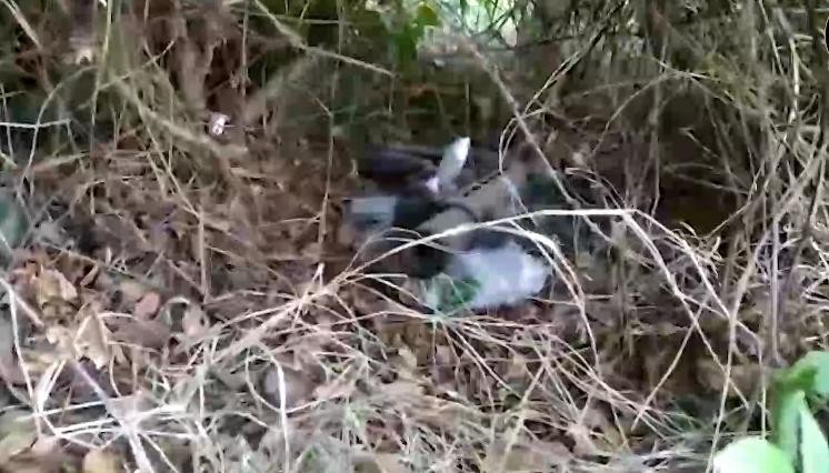Eylül ayında yapılan 118 operasyonda 146 kişi gözaltına alındı