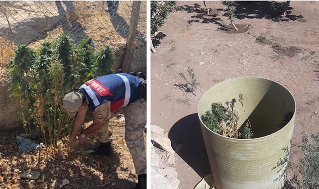 Şanlıurfa'da uyuşturucu operasyonu! 2 gözaltı