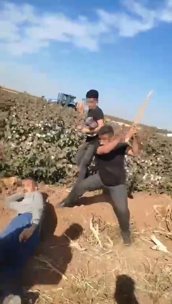 Urfa'da pamuk tarlasında öldüresiye dövdüler
