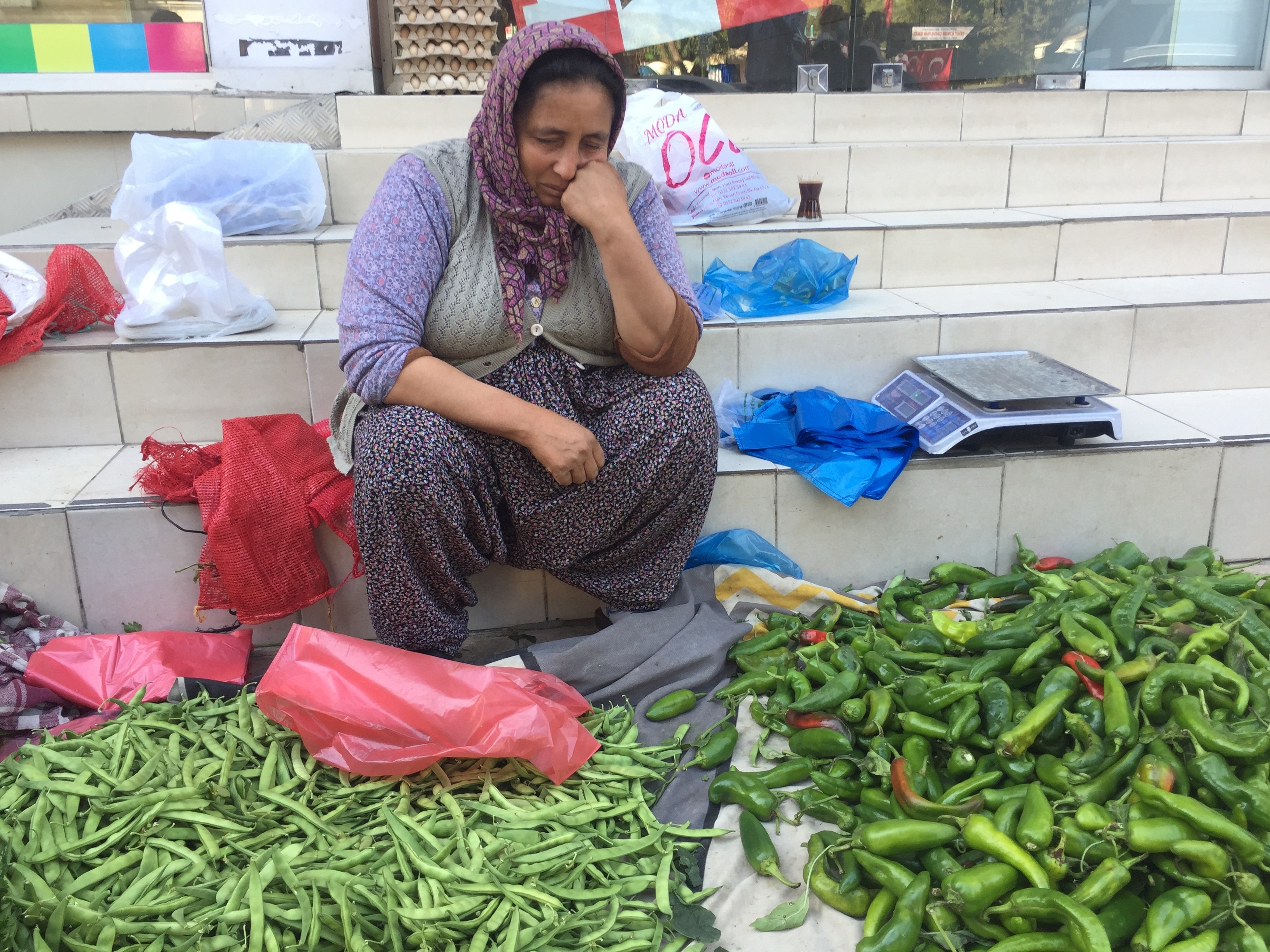 Seyyar satıcı kadının parasını çalan zanlı serbest kaldı