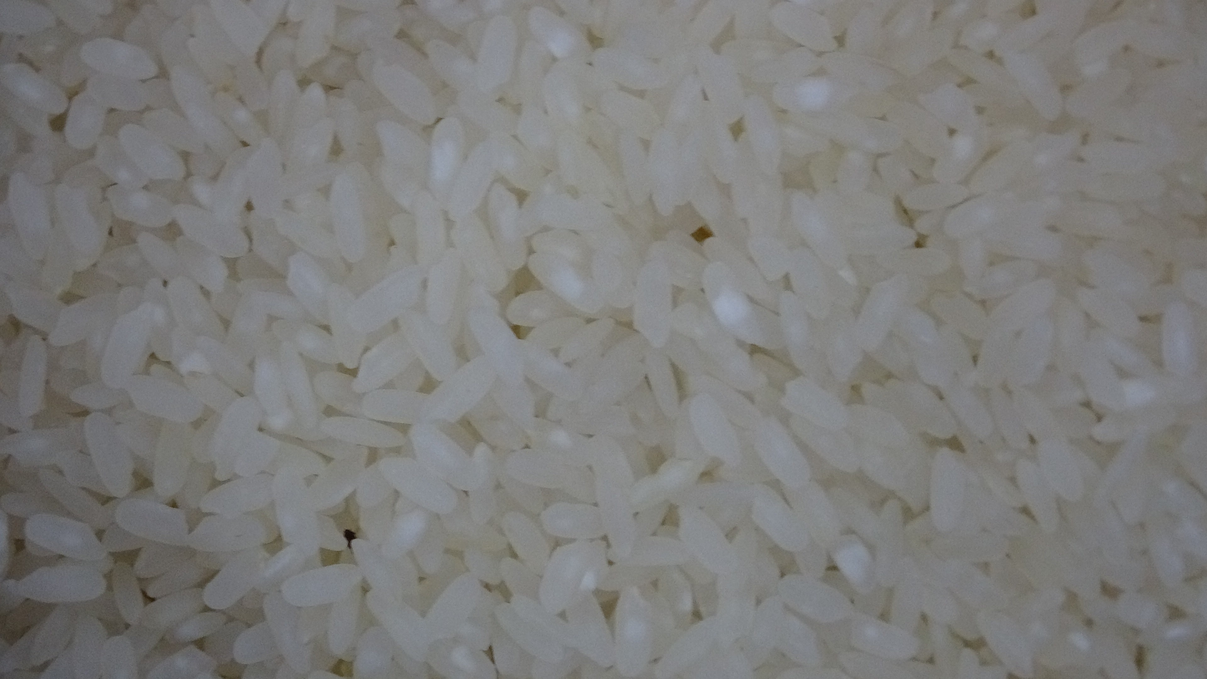 Uzmanı uyardı: Pirinçteki 'mikroplastik' kullanımına dikkat