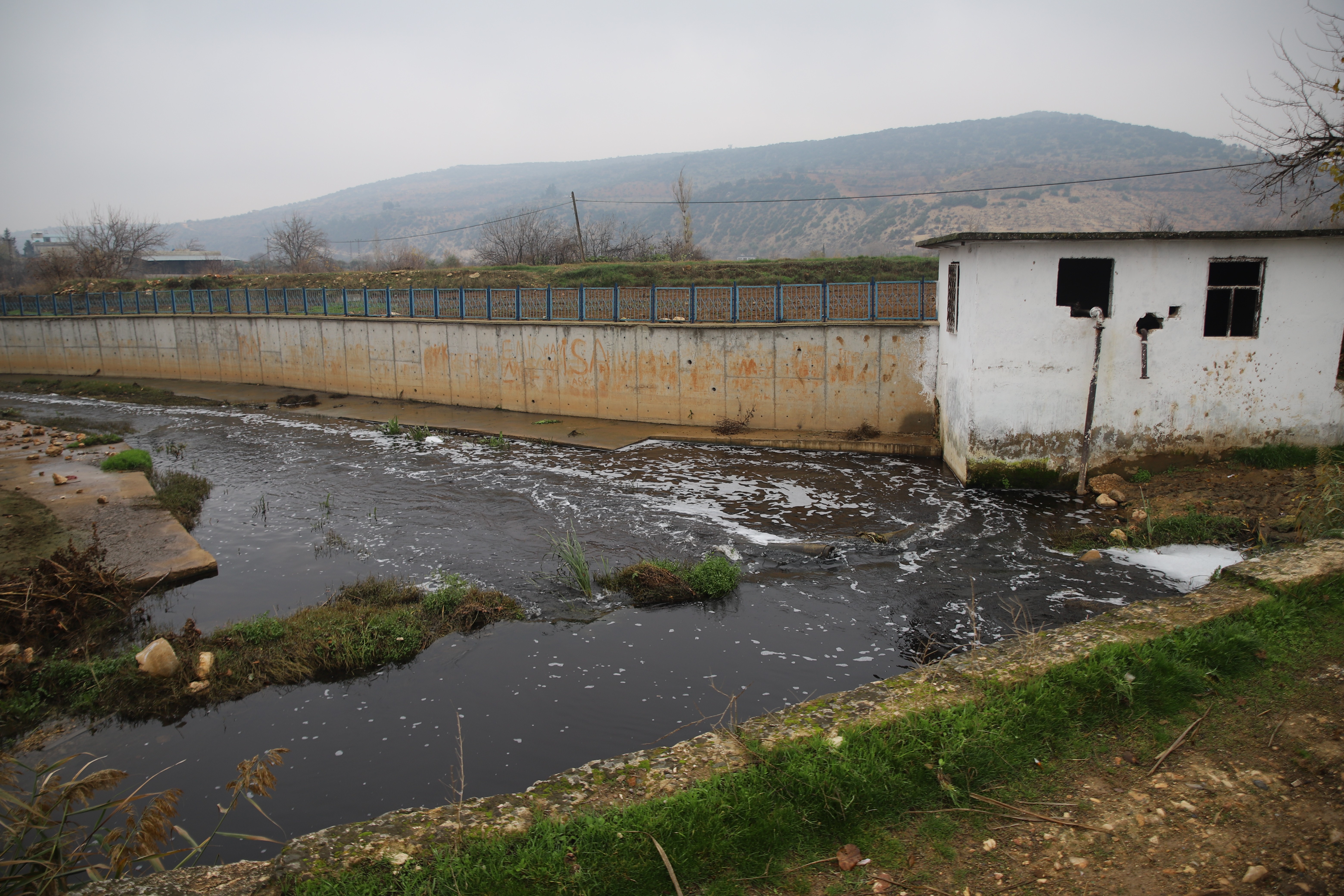 Nizip'teki balık ölümleri vatandaşları tedirgin ediyor
