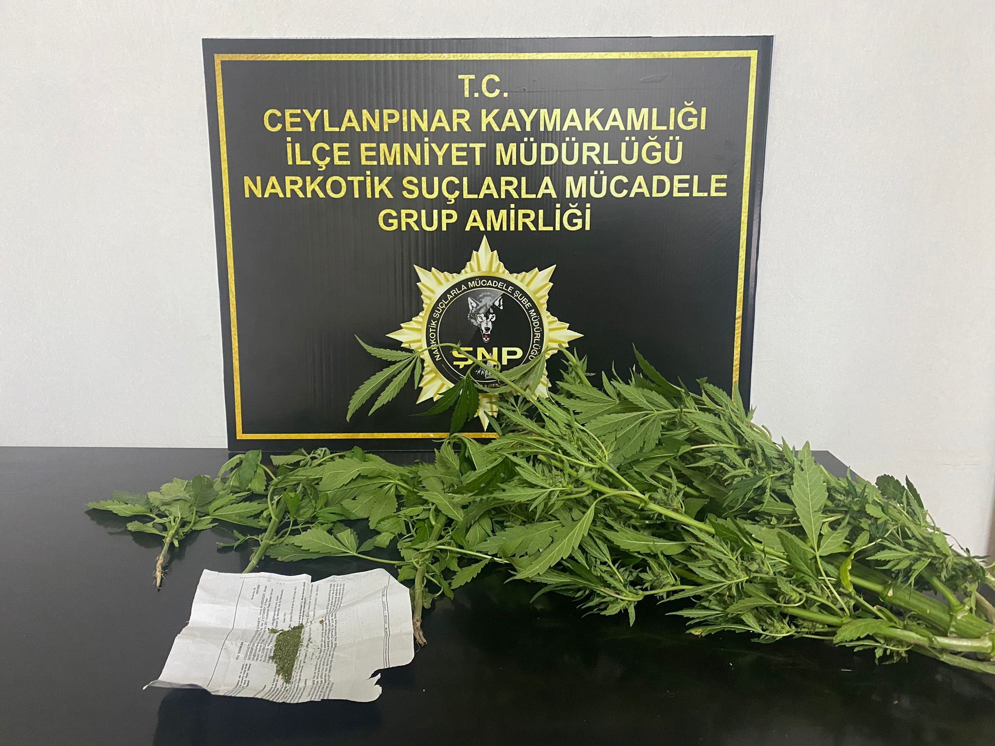 Ceylanpınar'da uyuşturucu operasyonu: 2 gözaltı