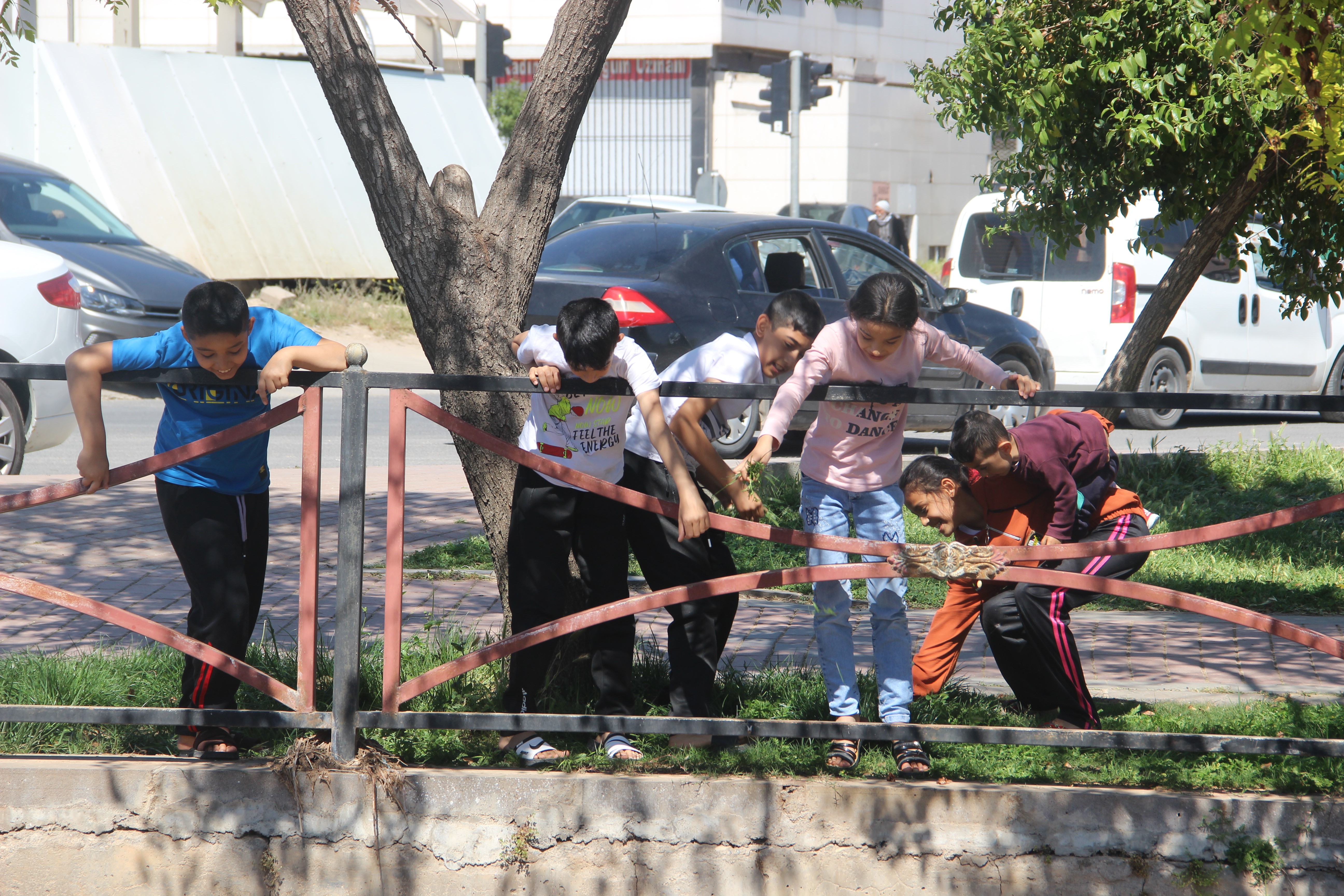 Derede mahsur kalan kaplumbağa kurtarıldı