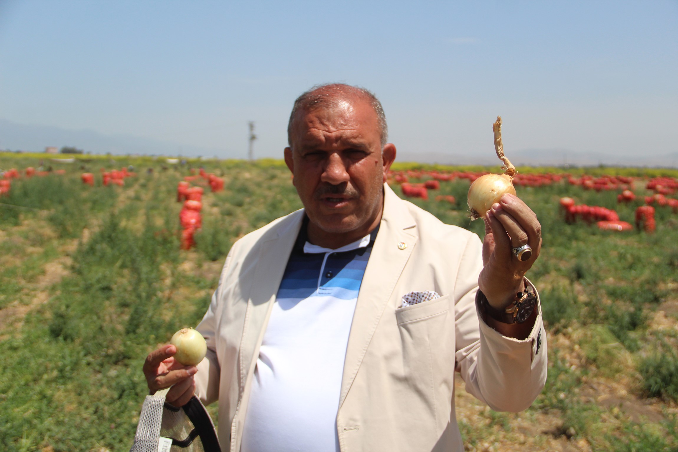 Soğanın fiyatı tarlada kaç lira?