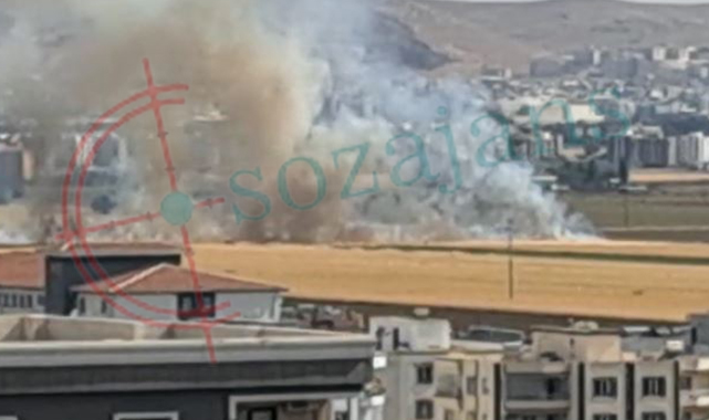Şanlıurfa'da ekin tarlasında yangın çıktı