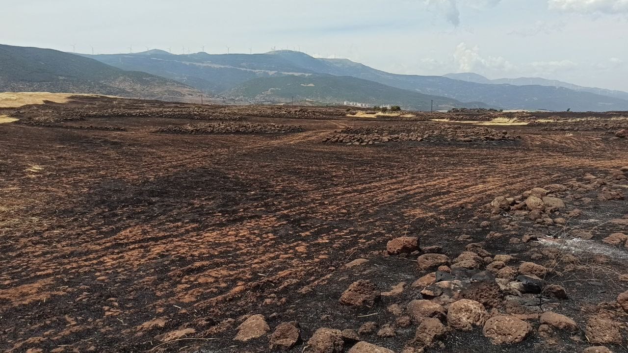 Gaziantep'te yanan tarla çiftçiyi büyük zarara uğrattı