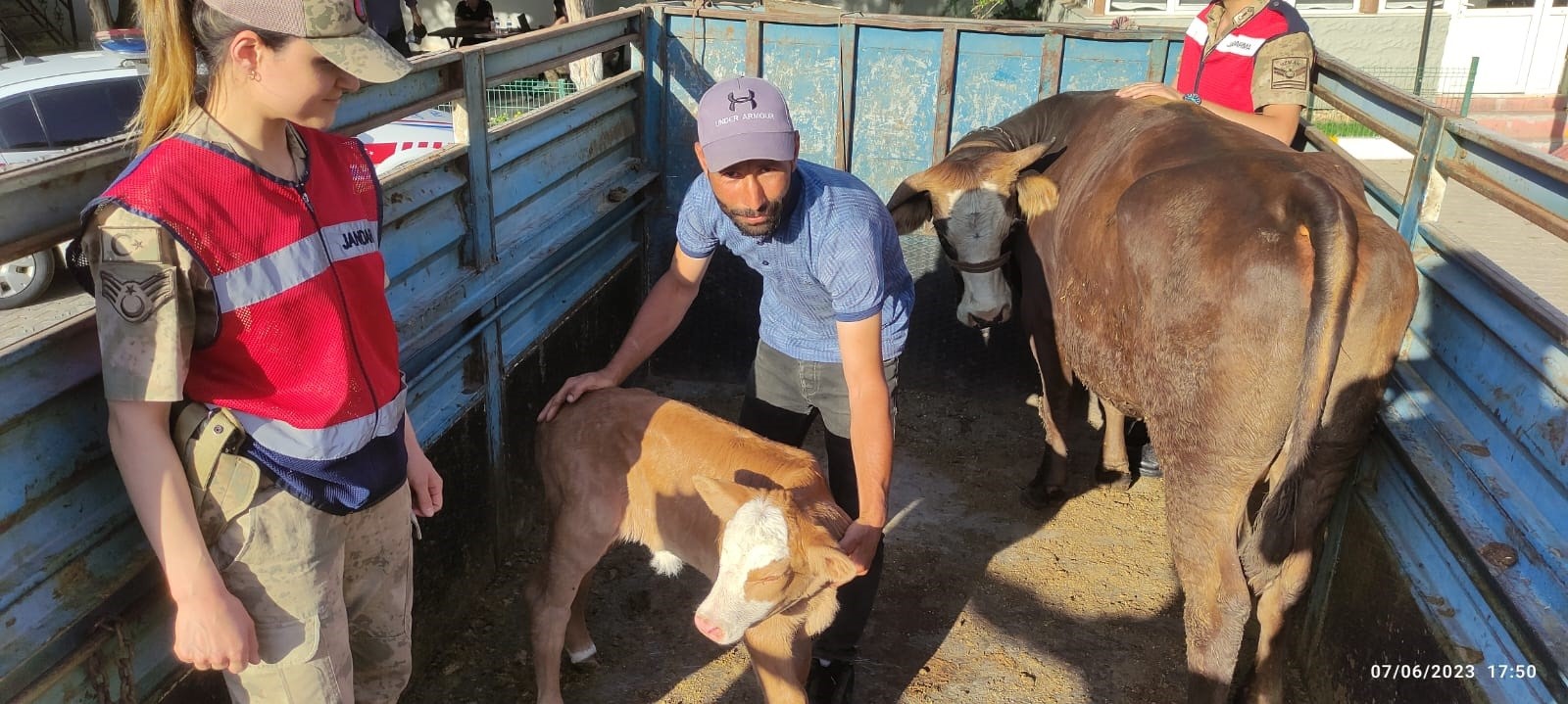 Siverek'te vatandaşın ineği çalındı, jandarma buldu