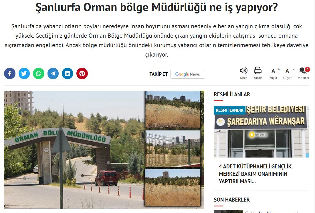 Şanlıurfa Orman Bölge Müdürlüğü Uyarıları dikkate almadı! Bir yangın daha çıktı