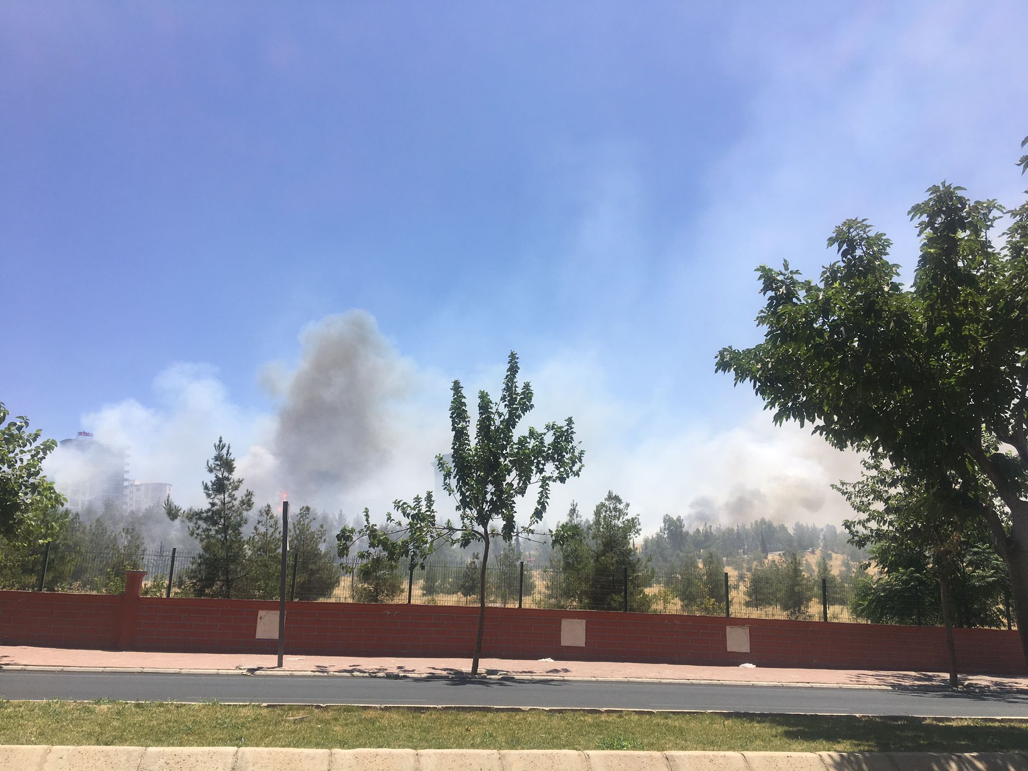 Şanlıurfa Orman Bölge Müdürlüğü Uyarıları dikkate almadı! Bir yangın daha çıktı