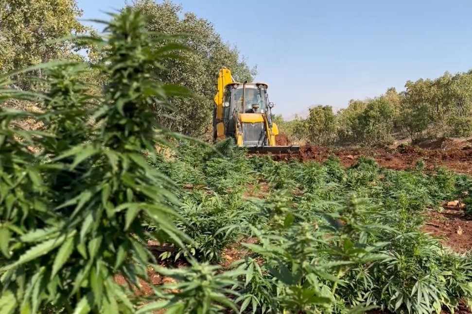 Terörün finans kaynağına darbe: 1 ton 168 kilo esrar ele geçirildi