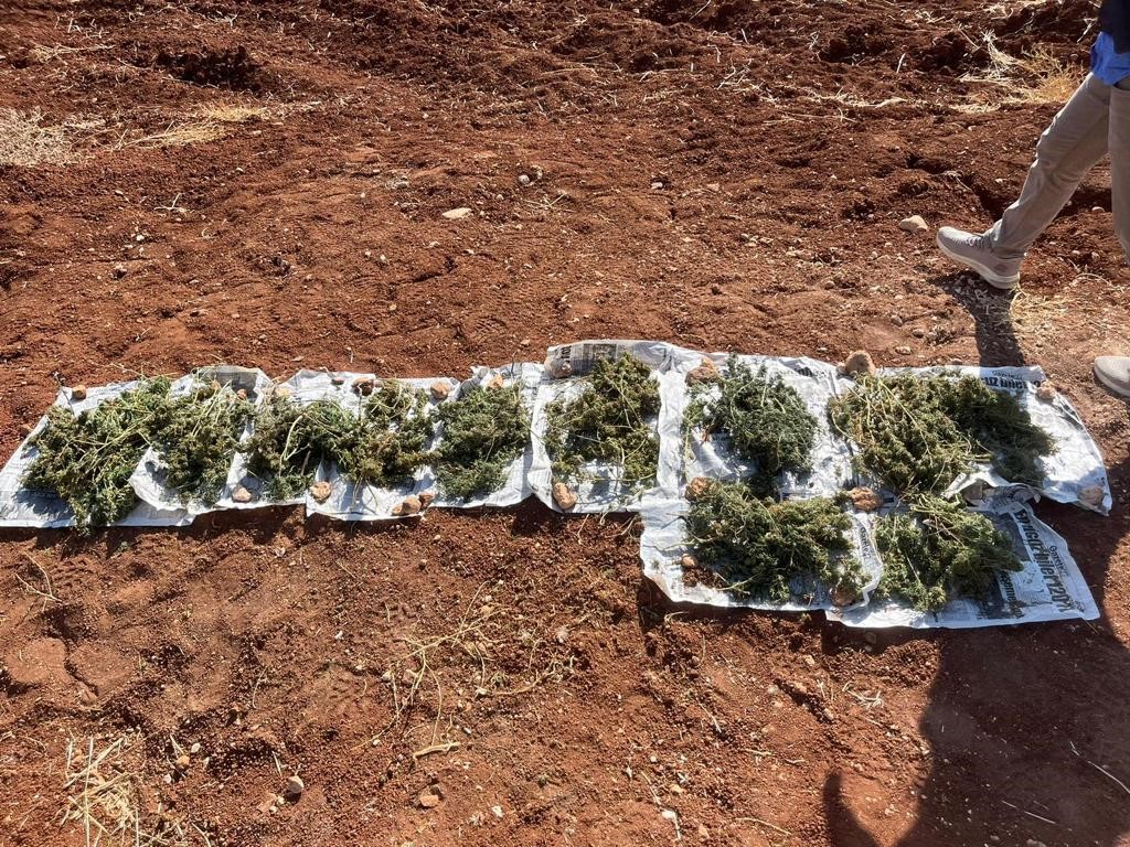 Sahte kimlikle dolaşan suç makinesini parmak izi ele verdi