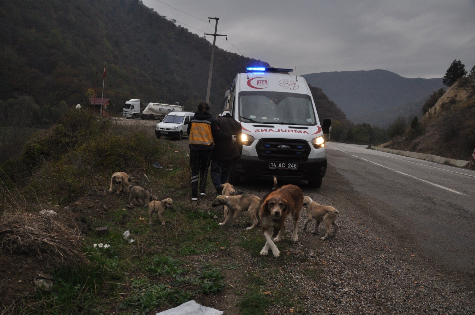 Hafif ticari araç uçuruma yuvarlandı: 3 yaralı