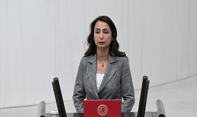 Hatimoğullar'ından Bahçeli ve Akşener'e yanıt: "Bizi Meclis'e leylekler getirmedi, halk taşıdı"