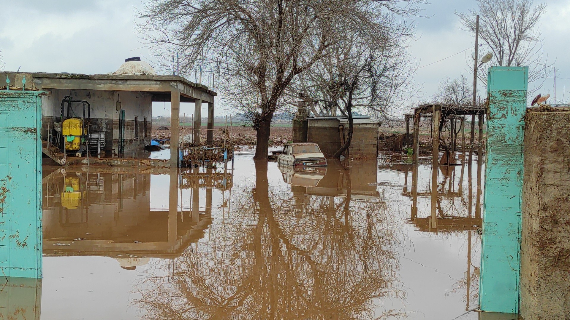 Şanlıurfa'da kırsal mahalleler sel suları altında kaldı