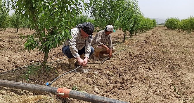 Su Kıtlığı Kapıda: Öztürkmen'den suyun tasarruflu kullanılması çağrısı