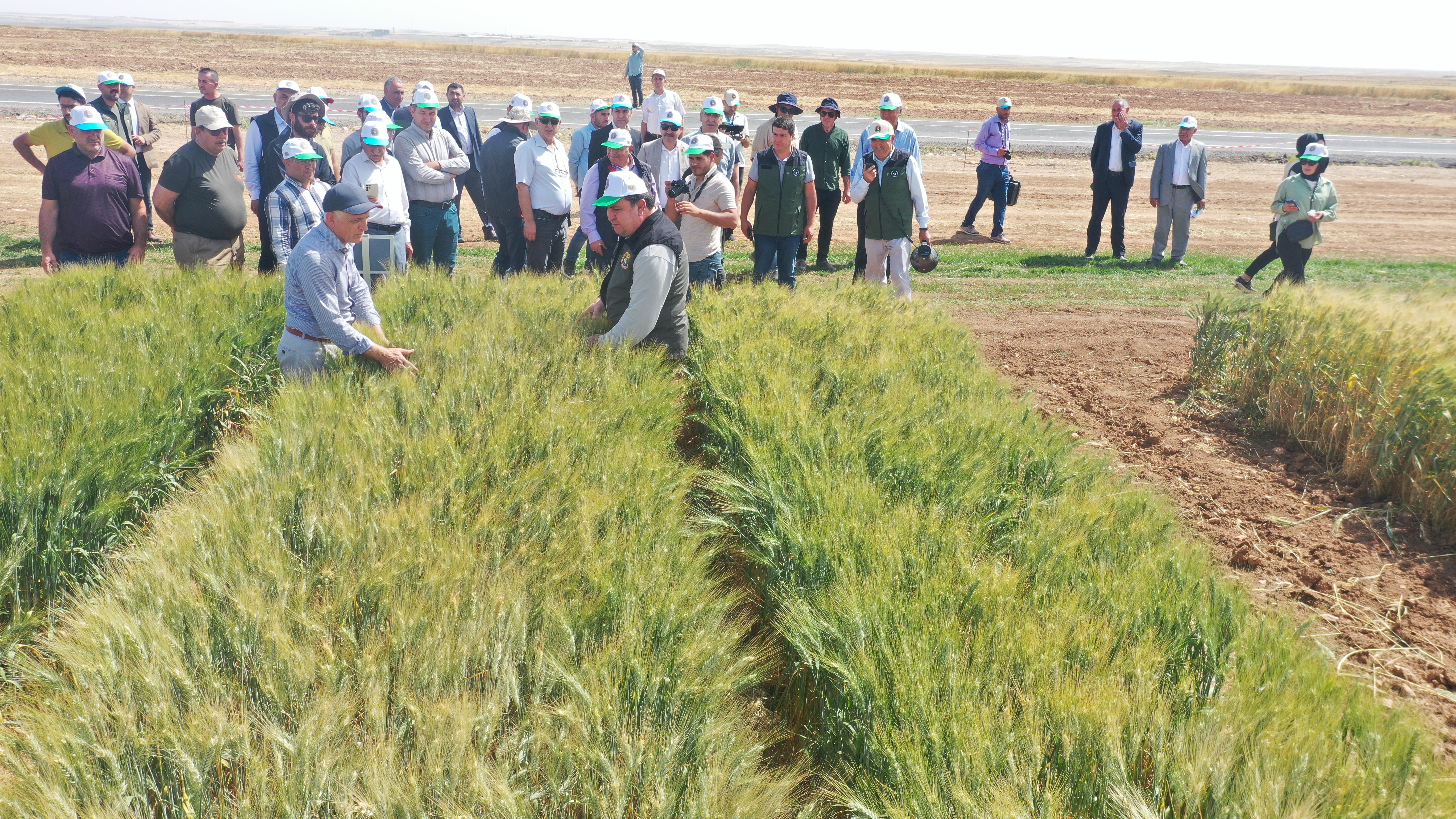 TİGEM'den bölge çiftçisini umutlandıran proje