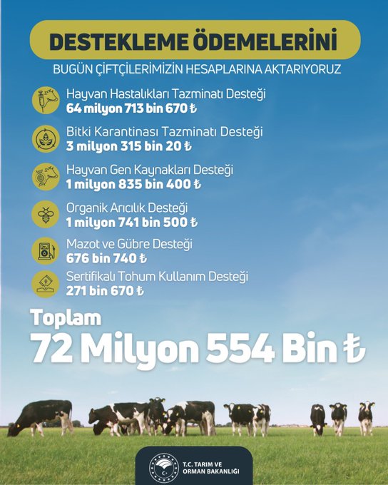 Bakanlık Yumaklı! Destekleme ödemeleri hesaplara yatıyor!