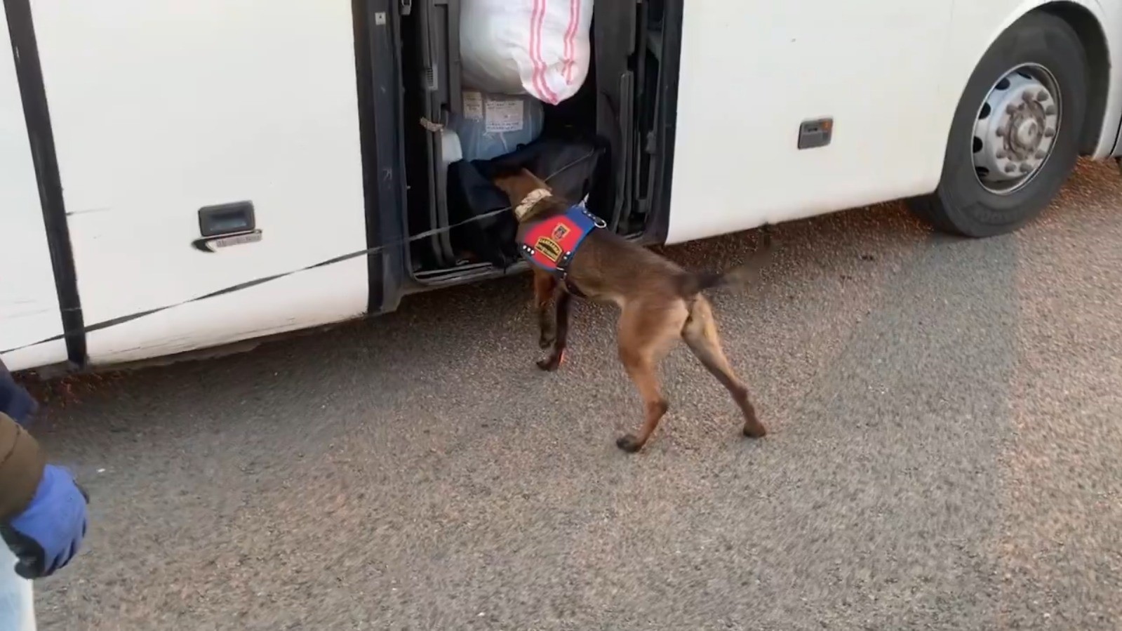 Şanlıurfa'da yolcu otobüsünde uyuşturucu ele geçirildi!