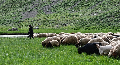 Yayla da kartpostallık fotoğraflar