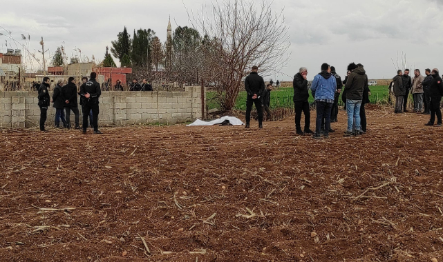 Polis ve jandarma ortak operasyonuyla etkisiz hale getirildi