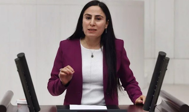 Sürücü'den Soylu'ya: Yolların olmamasından haberdar mısınız?