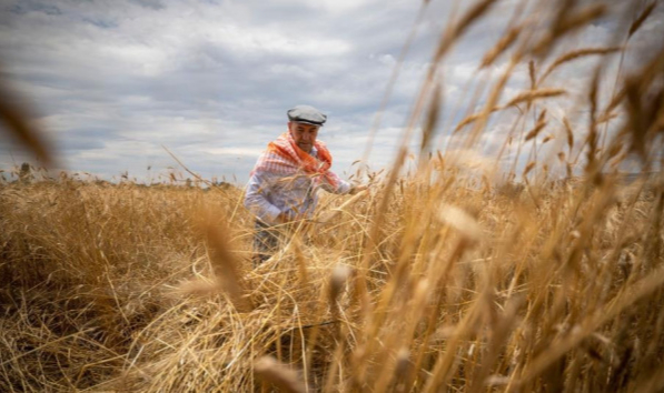 Tarım-GFE yıllık yüzde 57,26 arttı