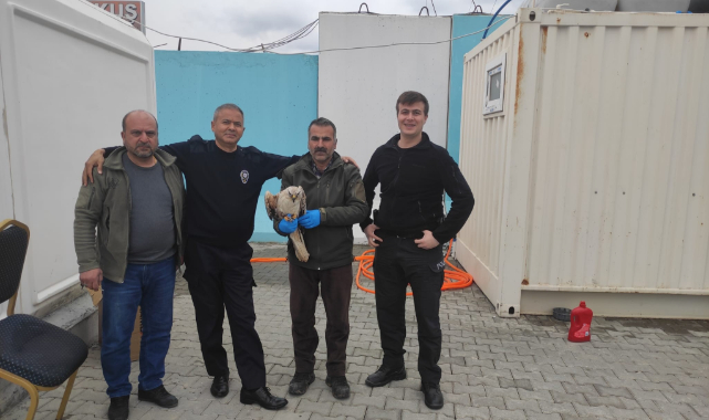 Yaralı kartal tedavi altına alındı