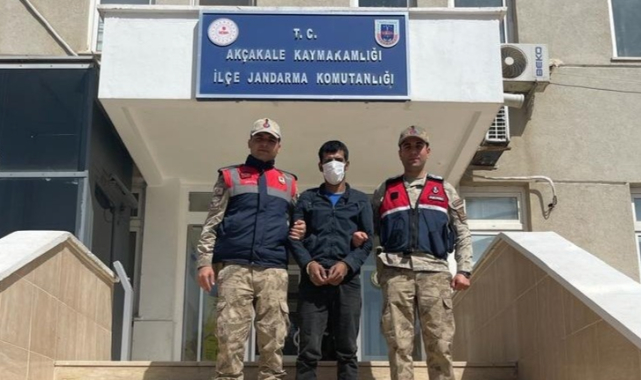 Akçakale'de hapis cezası bulunan dolandırıcı yakalandı