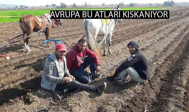 Avrupa Çağ atladı Şanlıurfa 30 yıl geriye gitti
