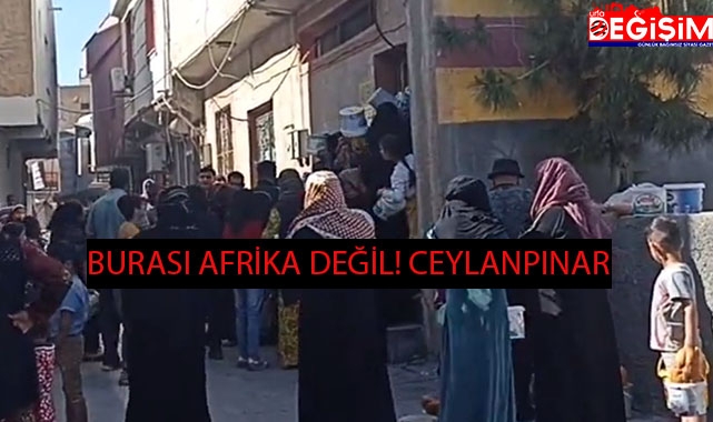 Ceylanpınar'da yardım yemeğinde izdiham yaşandı!