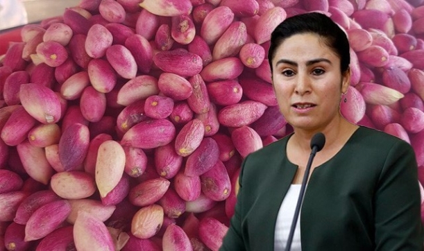 Milletvekili Sürücü, Keten köyneği fıstığı için kanun teklifi
